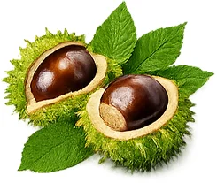 Varitone — estratto di semi di ippocastano